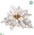 Velvet Poinsettia - White Gold - Pack of 12