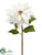 Poinsettia Spray - White - Pack of 12