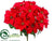 Poinsettia Bush - Red - Pack of 6