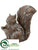 Squirrel - Brown - Pack of 2