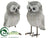 Owl - Gray Whitewashed - Pack of 2