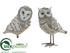 Silk Plants Direct Owl - Gray Whitewashed - Pack of 3