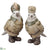 Nutcracker Bird - Green Two Tone - Pack of 2