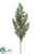 Juniper Pick - Green - Pack of 24