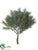 Pine Pick - Green Gray - Pack of 12