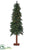 Pine Tree With 150 Clear Lights on T-Base - Green - Pack of 1