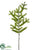 Spruce Pine Spray - Green - Pack of 12