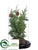 Juniper Tree - Green - Pack of 1