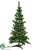 Pine Tree - Green - Pack of 4