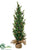 Angel Pine Tree - Green - Pack of 2