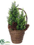 Silk Plants Direct Pine Tree - Green - Pack of 6