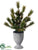 Pine Tree - Green - Pack of 12