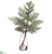 Pine Tree - Green Gray - Pack of 4