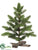 Pine Tree - Green - Pack of 6