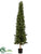 Pine Tree - Green - Pack of 1