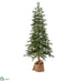 Silk Plants Direct Monterey Pine Tree - Green - Pack of 1