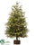 Pine Tree - Green - Pack of 1