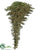 Pine Tree - Green - Pack of 1