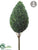 Cedar Teardrop Topiary Stem - Gray Green - Pack of 2