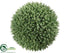 Silk Plants Direct Seed Orb - Green - Pack of 4