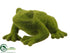 Silk Plants Direct Moss Poly Resin Frog - Green - Pack of 1