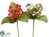 Silk Plants Direct Berries Pick - Assorted - Pack of 24