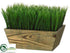 Silk Plants Direct Grass - Green - Pack of 1