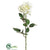 Large Panama Rose Spray - White - Pack of 12